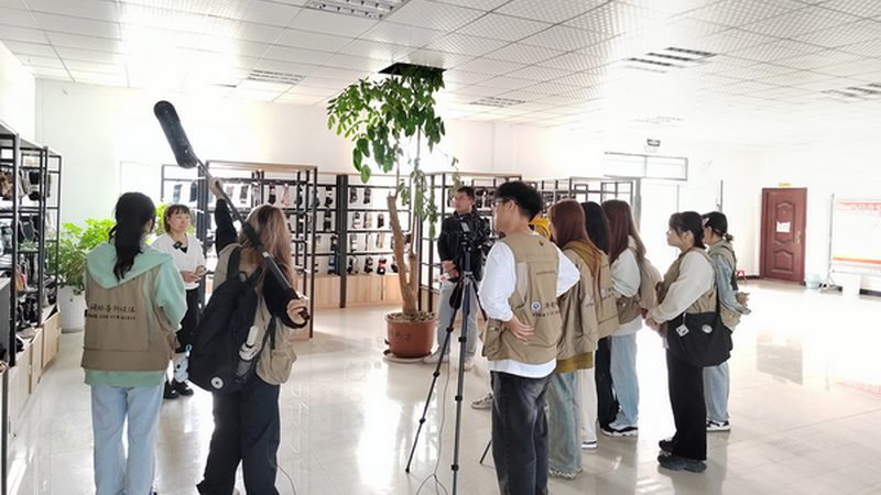 VI手册尺寸印刷报价全解析：尺寸标准与印刷成本揭秘